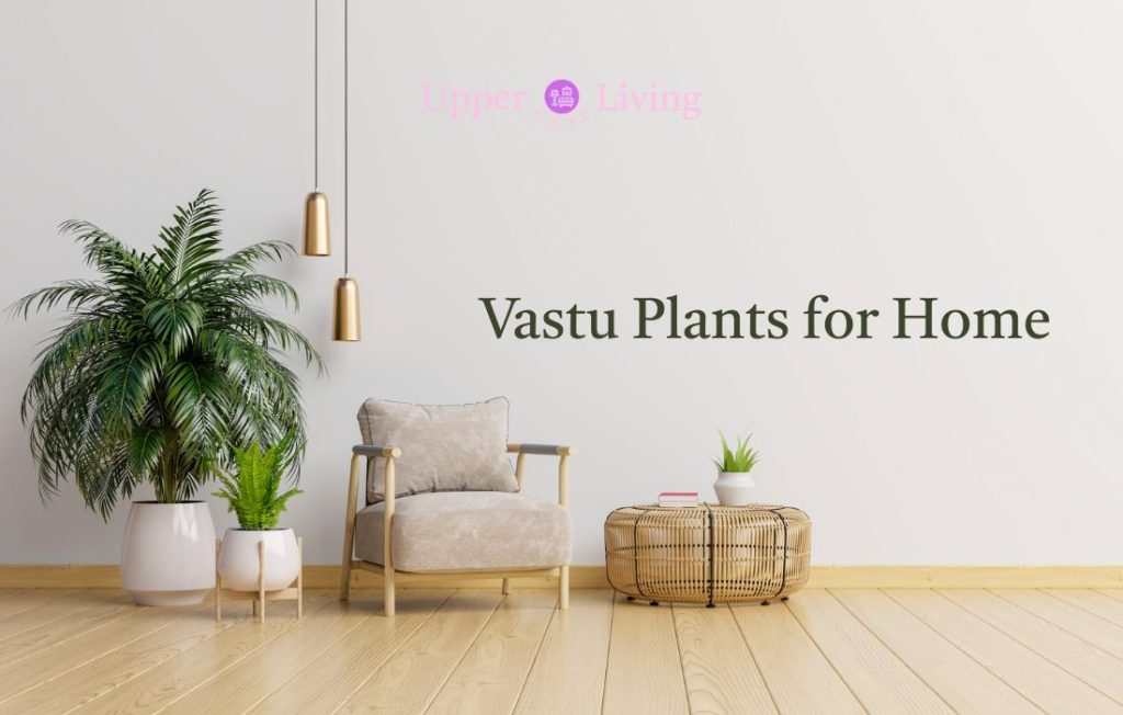 Vastu Plants for Home